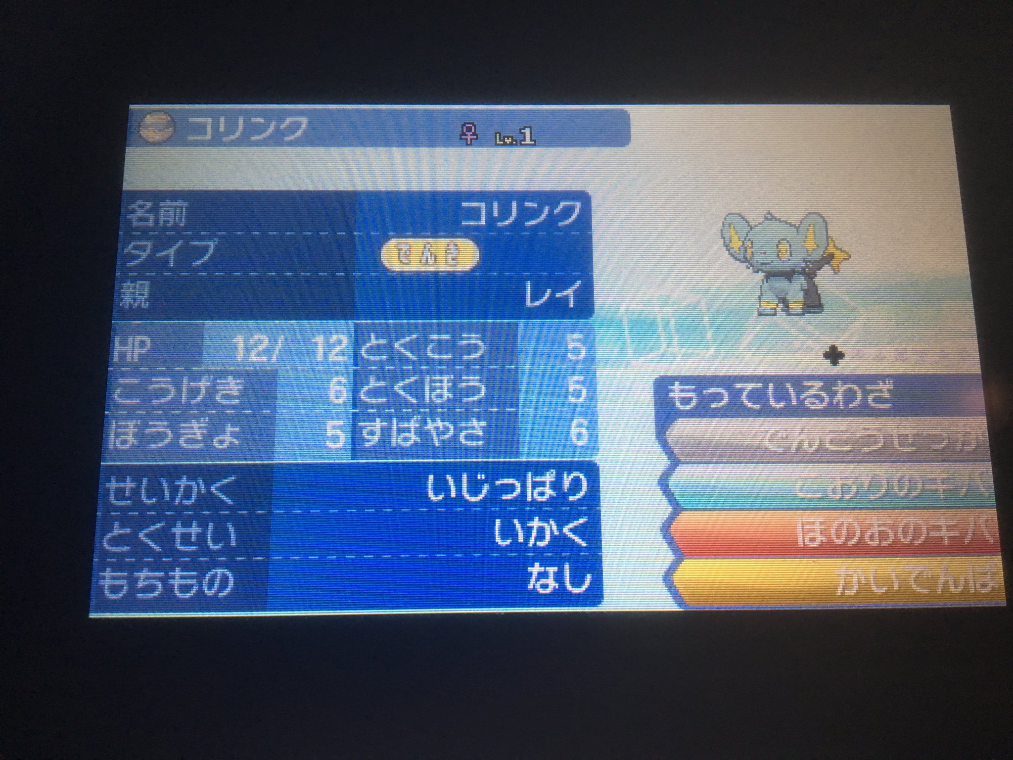 老獅子 老レオ Twitterren ポケモン配布 公配布配布初かね 色違いがでたためそれまでにでた理想個体値 C抜け5v コリンク13匹配布 ついでに6vヌイコグマ13匹と6v腹太鼓持ちマリル2匹も配布 性格 特性 覚えてる技は以下の通り 参加方法は4枚目にて ポケモン 老獅子 老レオ Twitterren ポケモン配布 公配布配布初かね 色違いがでたためそれまでにでた理想個体値 C抜け5v コリンク13匹配布 ついでに6vヌイコグマ13匹と6v腹太鼓持ちマリル2匹も配布 性格 特性 覚えてる技は以下の通り 参加方法は4枚目にて ポケモン