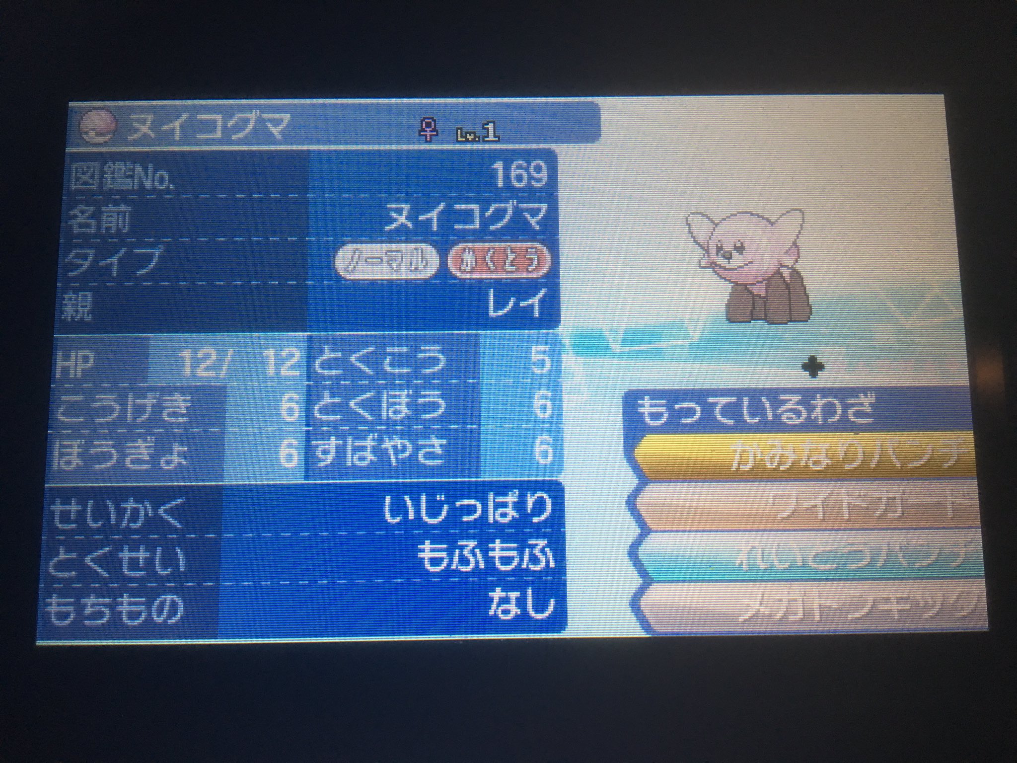 老獅子 老レオ Twitterren ポケモン配布 公配布配布初かね 色違いがでたためそれまでにでた理想個体値 C抜け5v コリンク13匹配布 ついでに6vヌイコグマ13匹と6v腹太鼓持ちマリル2匹も配布 性格 特性 覚えてる