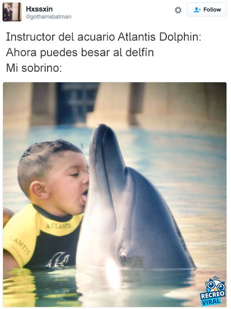 MrWasap.com/Artic.aspx?id=…

#DaniYFlo8

Humor: 15 Tuits que demuestran que la vida a lado de un niño siempre será divertida