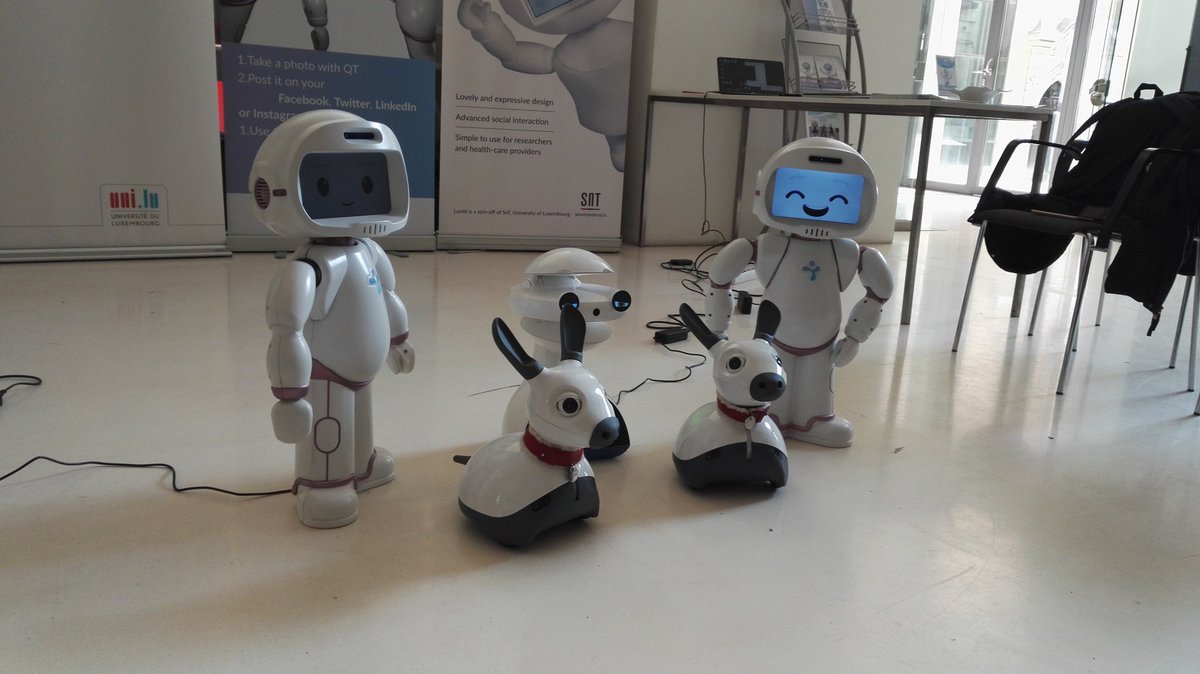 FranciscoLera's tweet photo. Family photo...new generation of  social-edutainment robots #emis @FLASHRobotics  @CqRMiRo @ShefRobotics  and @QTrobot  @LuxAI_SA  #HRI2017 https://t.co/VFaJznCGxF