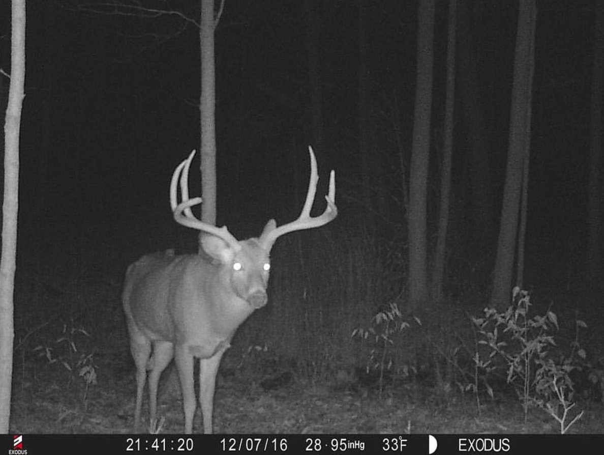 Exodus Trail Cams tweet media
