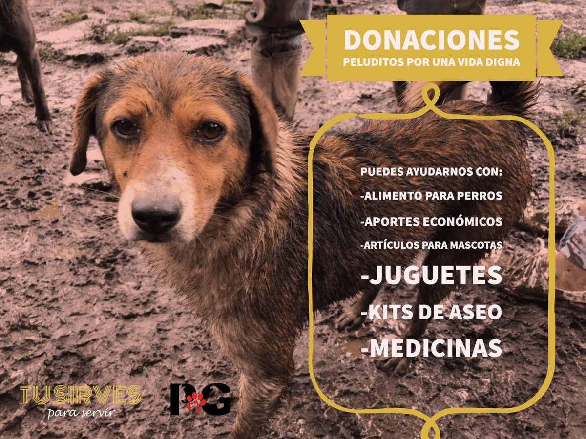 Tu Sirves tweet media