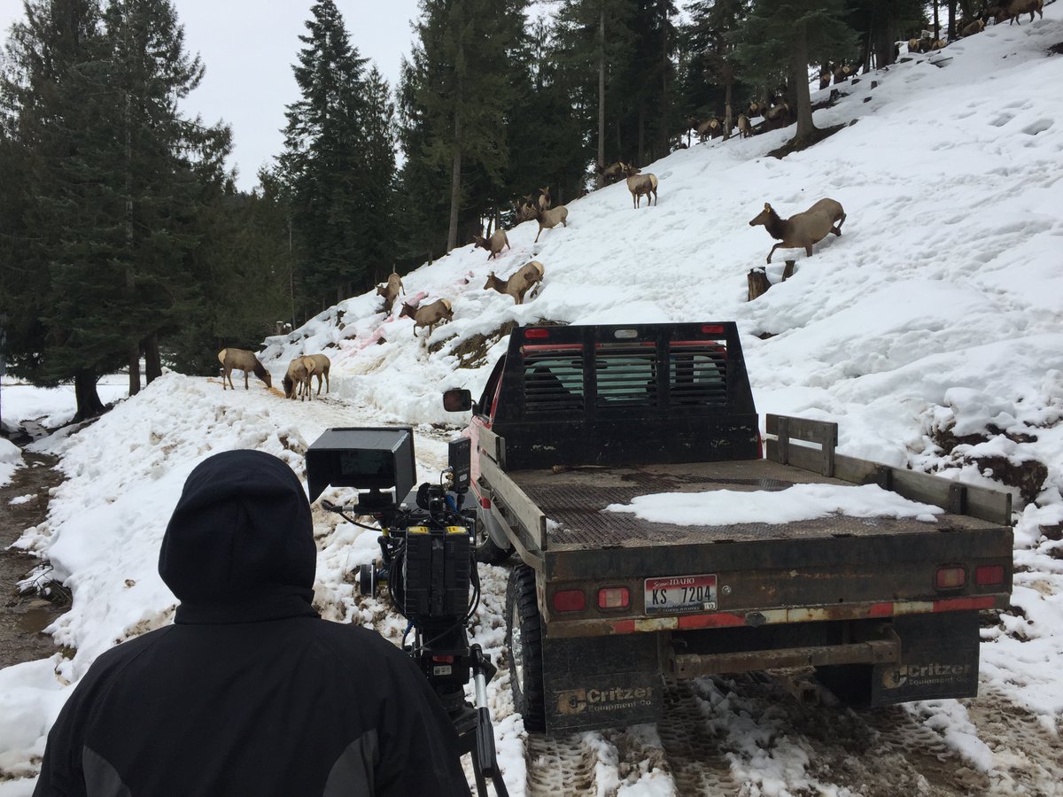 nxnwdigital's tweet photo. Why did the elk cross the road...? Day two on a project with @WendtAds! https://t.co/fTiAJjEdzO