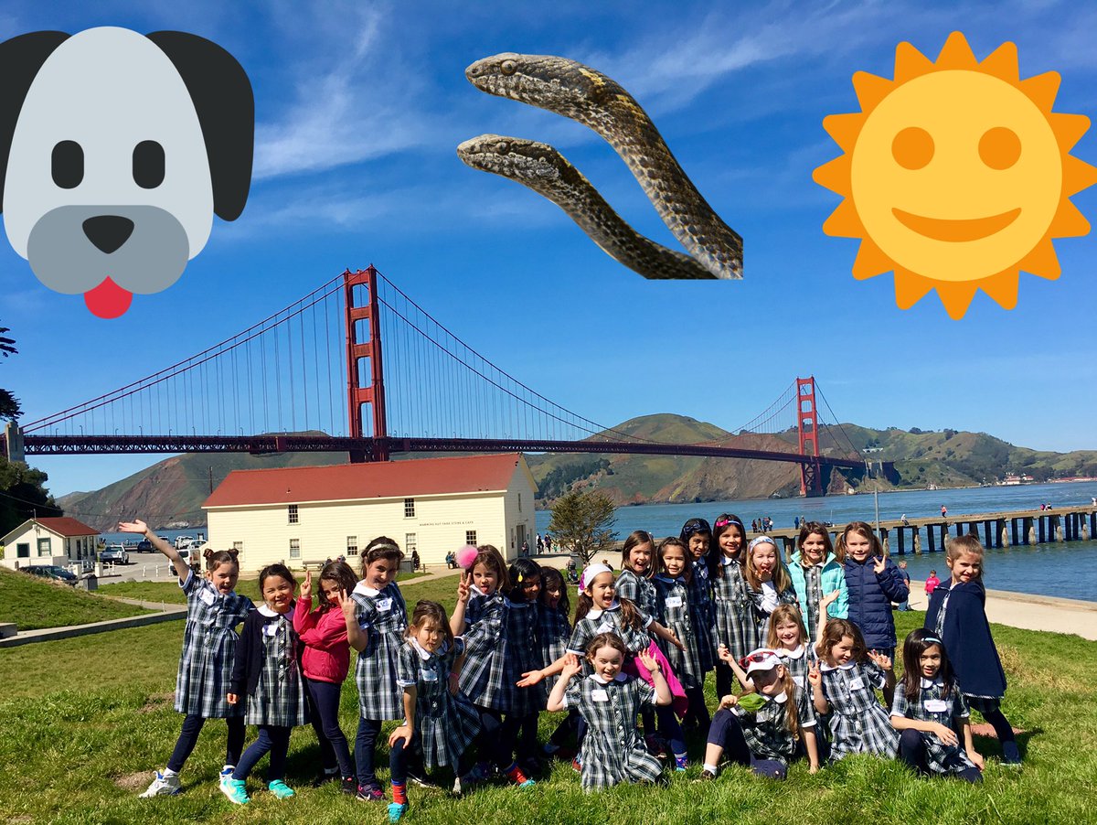 allieb24's tweet photo. 💯science field trip @hamlin @nisa_frank https://t.co/EbIoNBVKB1