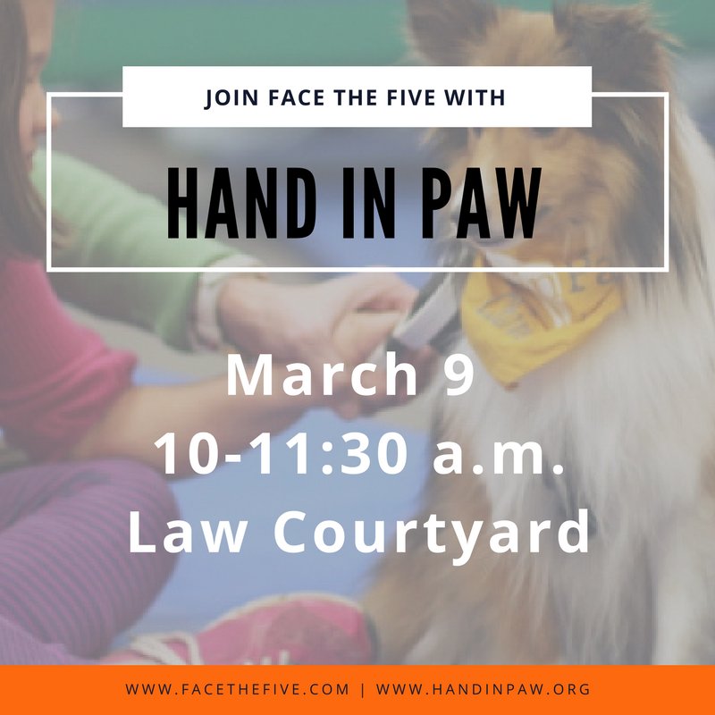facethefive's tweet image. Puppies can give instant stress relief. Come to the law courtyard tomorrow as we join Hand in Paw! #changementalhealth