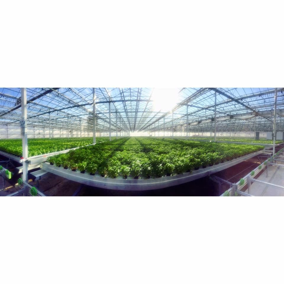 Plant a Seed tweet media