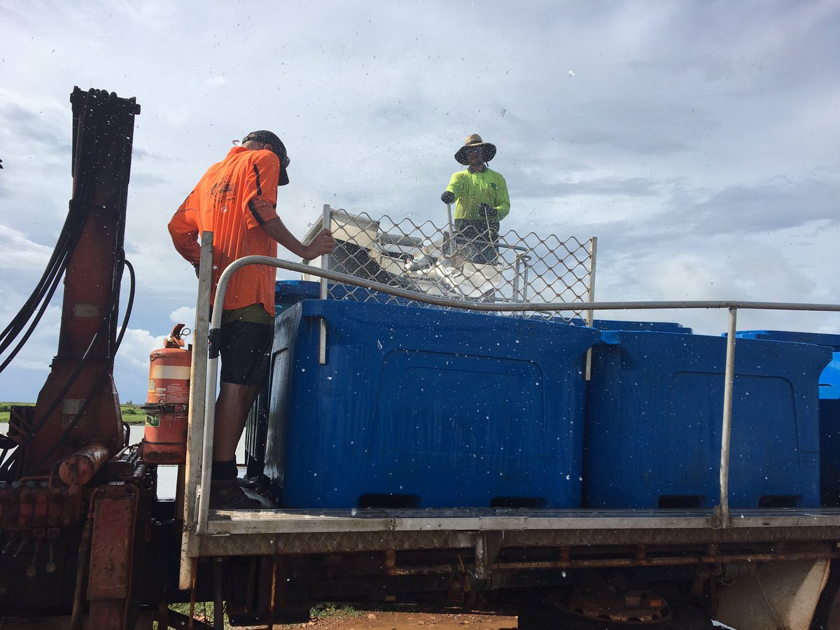 The only way to fish. Consistent &amp; High quality at Humpty Doo Barra. #NorthernTerritory <a href="/NTFarmers/">NTFarmers</a>