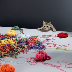 ジワジワくる面白動画 Goqxlviu Twitter