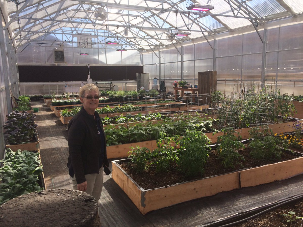 Plant a Seed tweet media