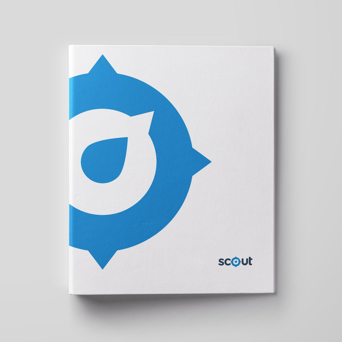 LL_Studio's tweet photo. New work — Scout brand identity for @NSWEducation https://t.co/5p8PfKu1sn https://t.co/btR0yAi8Hh