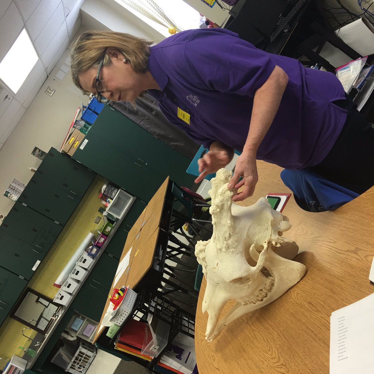 thriverDonna's tweet photo. Zoology club. #WhyWisd  #jseguinelem https://t.co/oLINC2VeEK