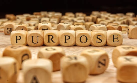 health101advice's tweet photo. Find your purpose #mywinlife https://t.co/Jg62BWBu0w