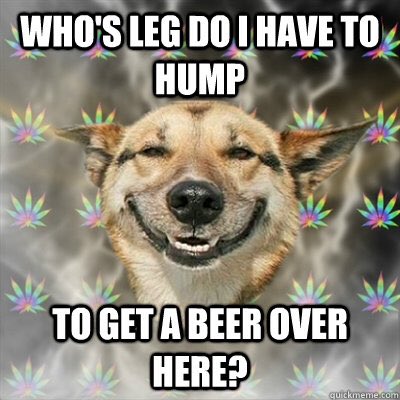 sortofdrunk's tweet image. #humpdayvibes
