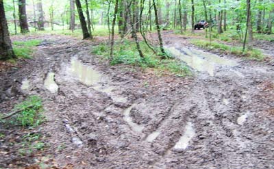 Going4aWalk's tweet photo. Really heavy rain tonight in #Scotland 🌧 will be some muddy trails to #walk tomorrow 👣 #amwalking #kneedeep https://t.co/ryZwzelG7L