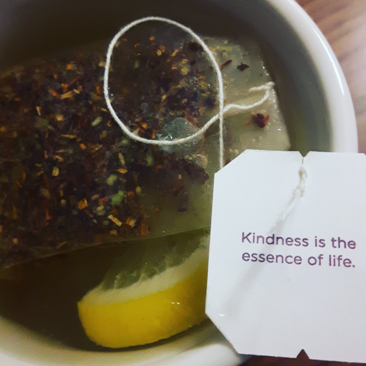 LeahJaneParsons's tweet photo. Several presentations later -end my day with this message. Thanks #cornerbrooknl for bringing me to your community#InternationalWomensDay https://t.co/8iap5v2jCp