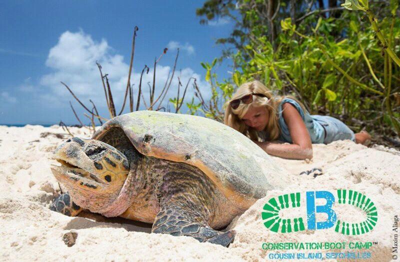cousinisland's tweet image. APPLY NOW: Join @NatureSey&apos;s new, exclusive #ConservationBootCamp program &amp;amp; bolster your career in #conservation
 natureseychelles.org/get-involved/c…