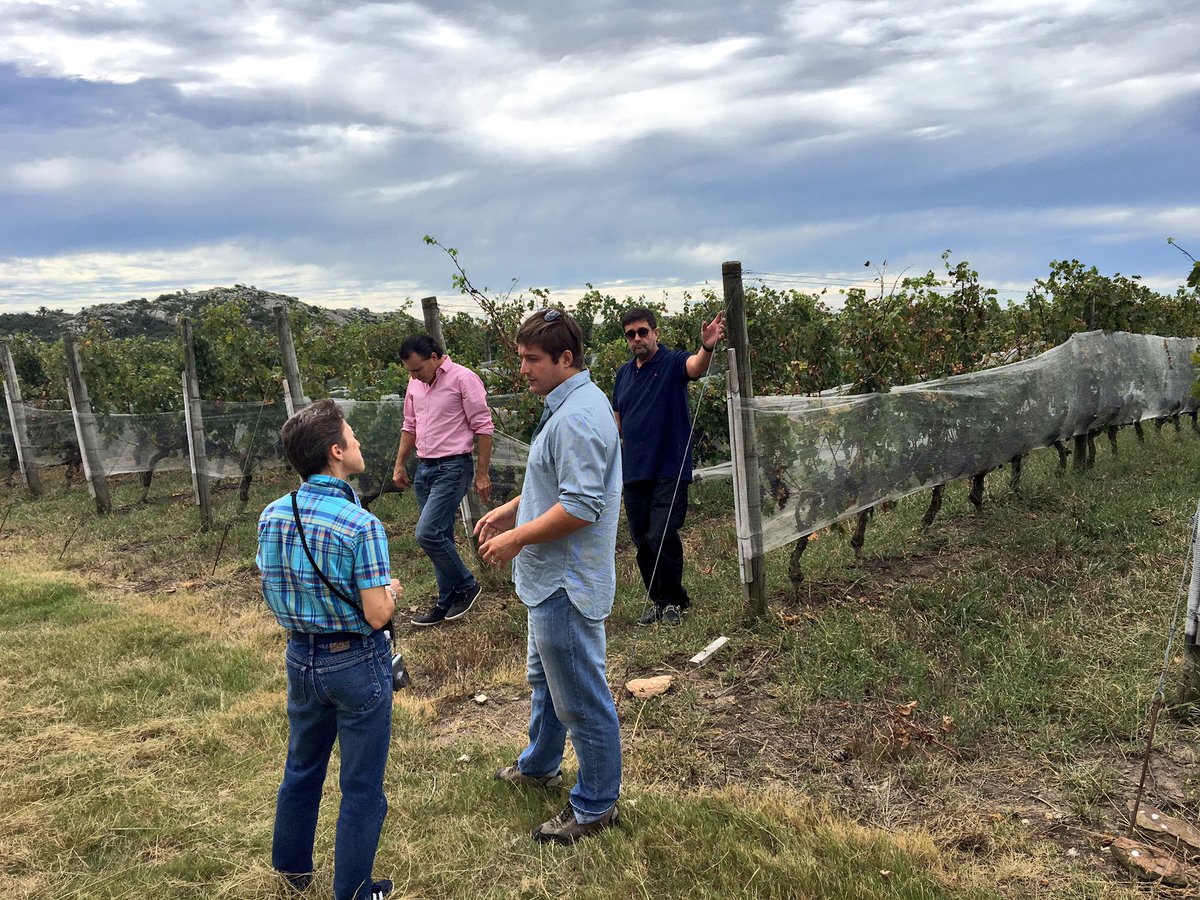 nbonino's tweet photo. Great pleasure to receive Julia Harding MW at our Mar de Piedras vineyards in Sierra de Mahoma, #Uruguay. @JancisRobinson @TheWineSociety https://t.co/VI27jv6t6G