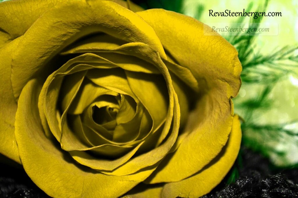silviasebille's tweet photo. @Ap42Lita @MapMaru @MarcelaRocha_25 @VICMARVG @ElieBautista @PSGbrasil @chichovip @RT4GT 
#Diadelamujer
#HORAFELIZ 
#1As272 https://t.co/dWxfVaKbBt