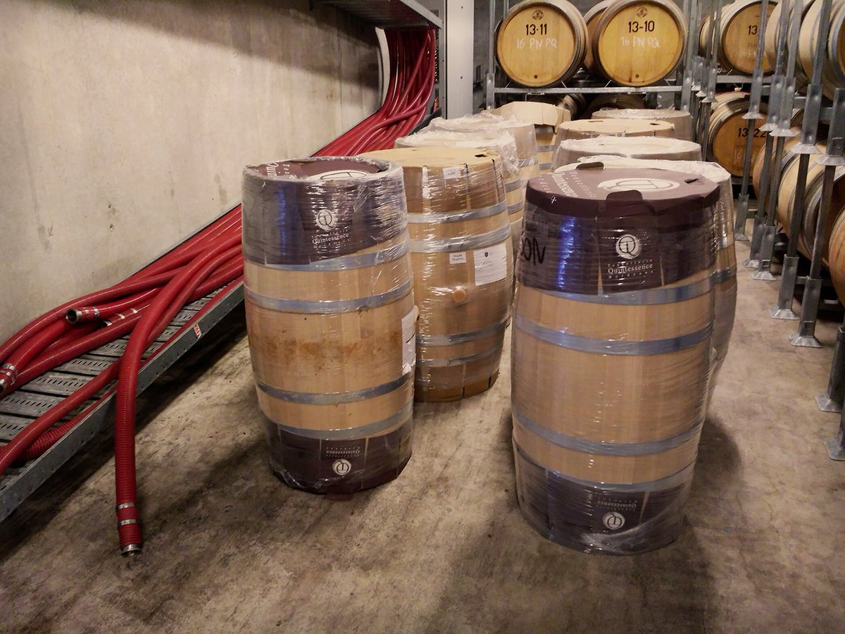 MahanaNZ's tweet photo. Winemaker Michael Glover in his element with the new barrels for #MahanaVintage2017! #drygrown #certifiedorganic #chardonnay #nzwine #v17 https://t.co/PJlCQfDmKO