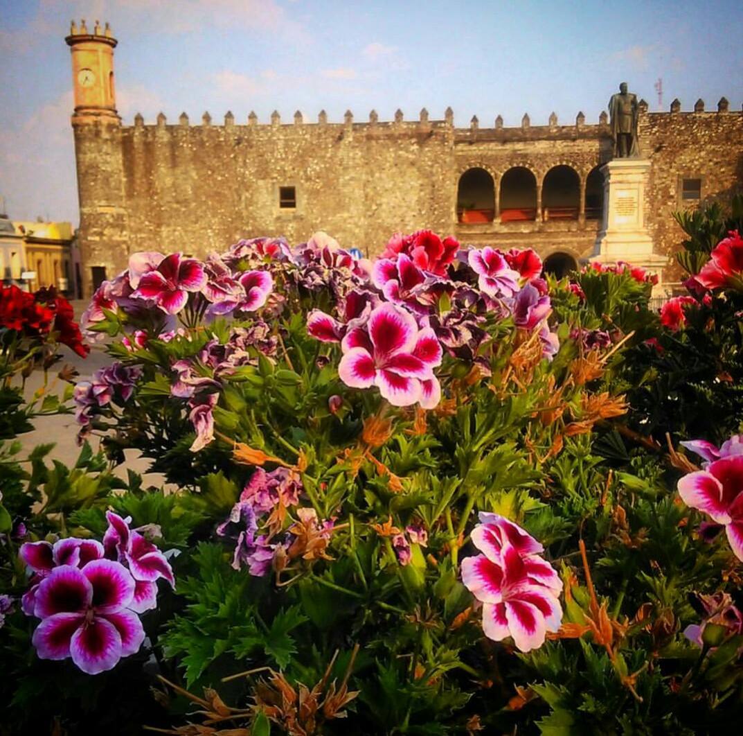 SECTUR_mx's tweet photo. Conoce #Morelos, uno de los estados que recibe, en mayor cantidad a huéspedes en #TurismoDeRomance y #LGBTMarket @MonikaRFuchs @MorelosEs https://t.co/C7u9A4Ldqd