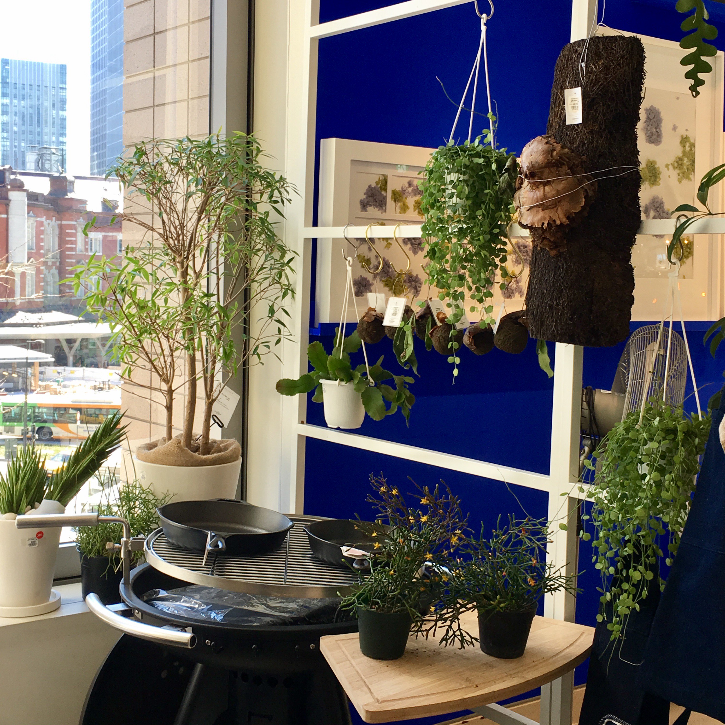 GREENSTORE | The Conran Shop（ザ・コンランショップ）