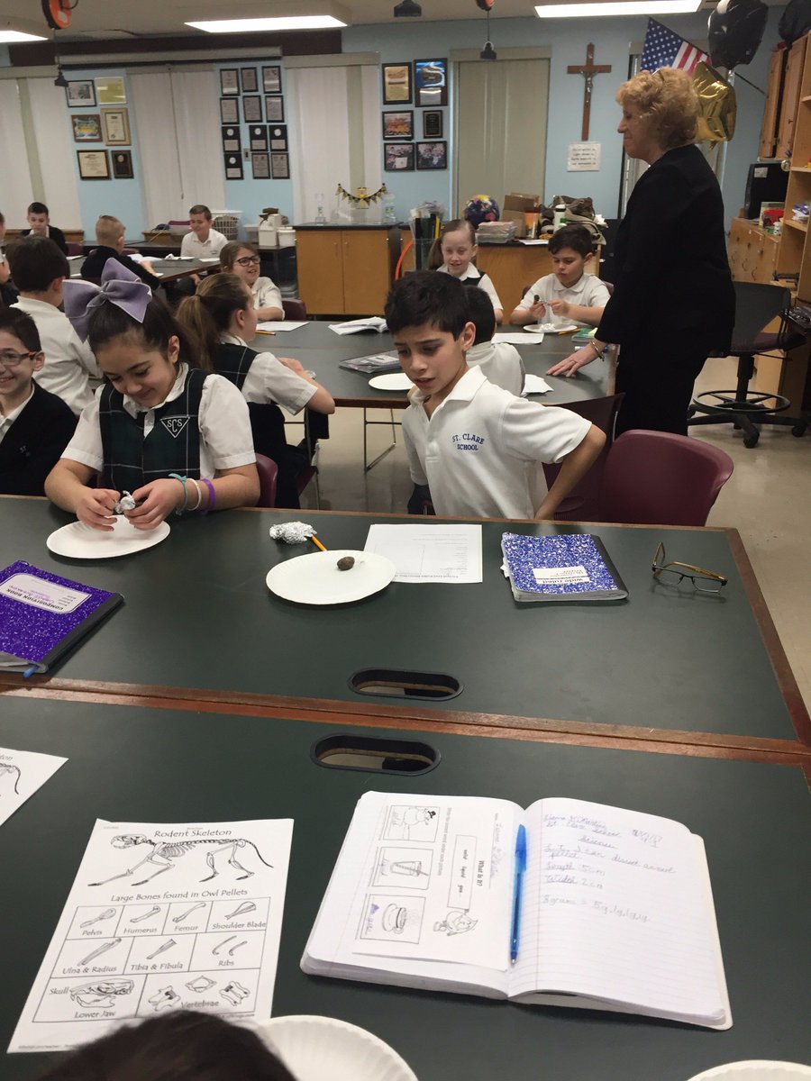 stclaresi's tweet image. #scsscience