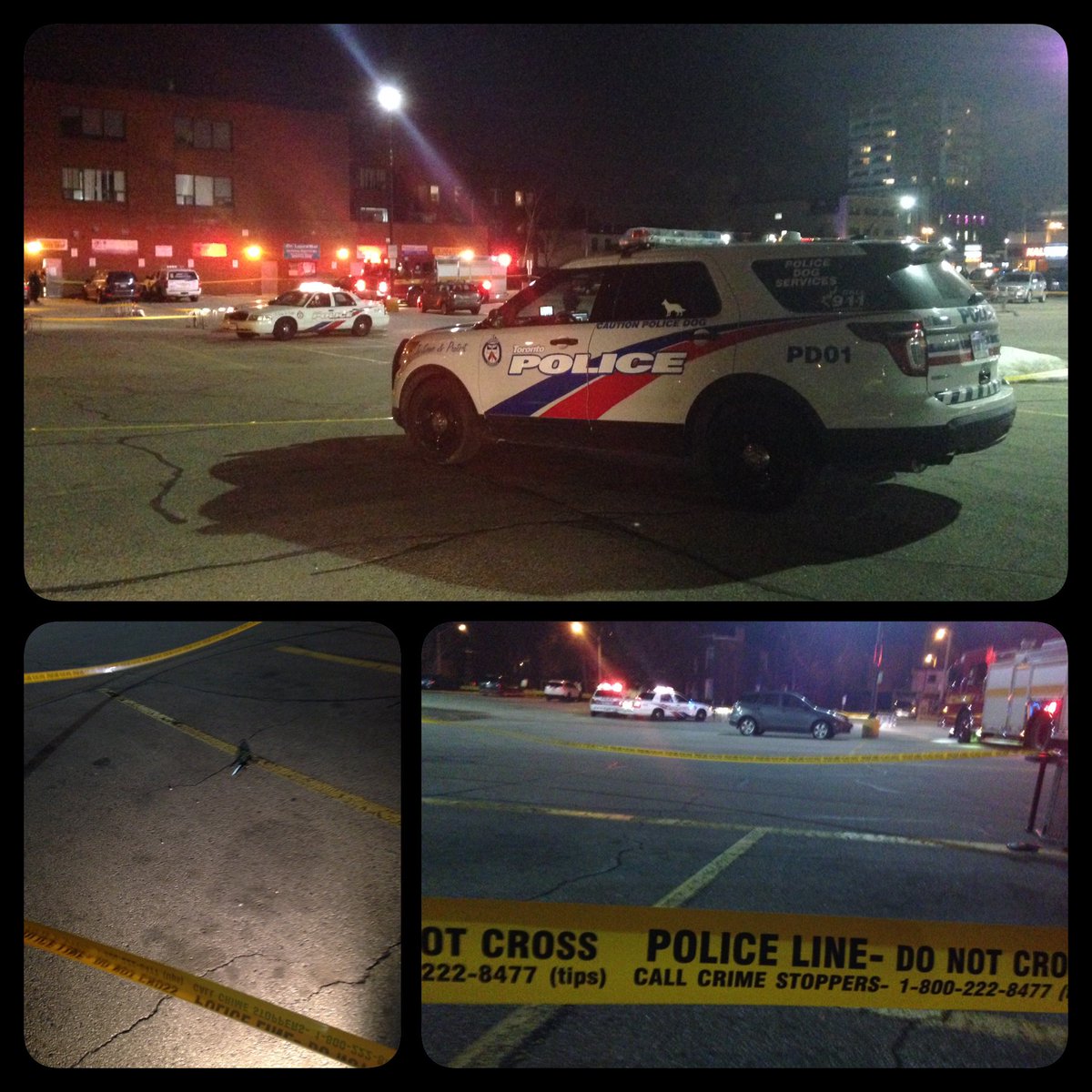 zapnation's tweet photo. Male in his 20 shot multiple times in the chest near Bloor &amp; Dundas in a Loblaws parking lot. A knife has been found on the scene. #Toronto https://t.co/oZCgQlC6Bn