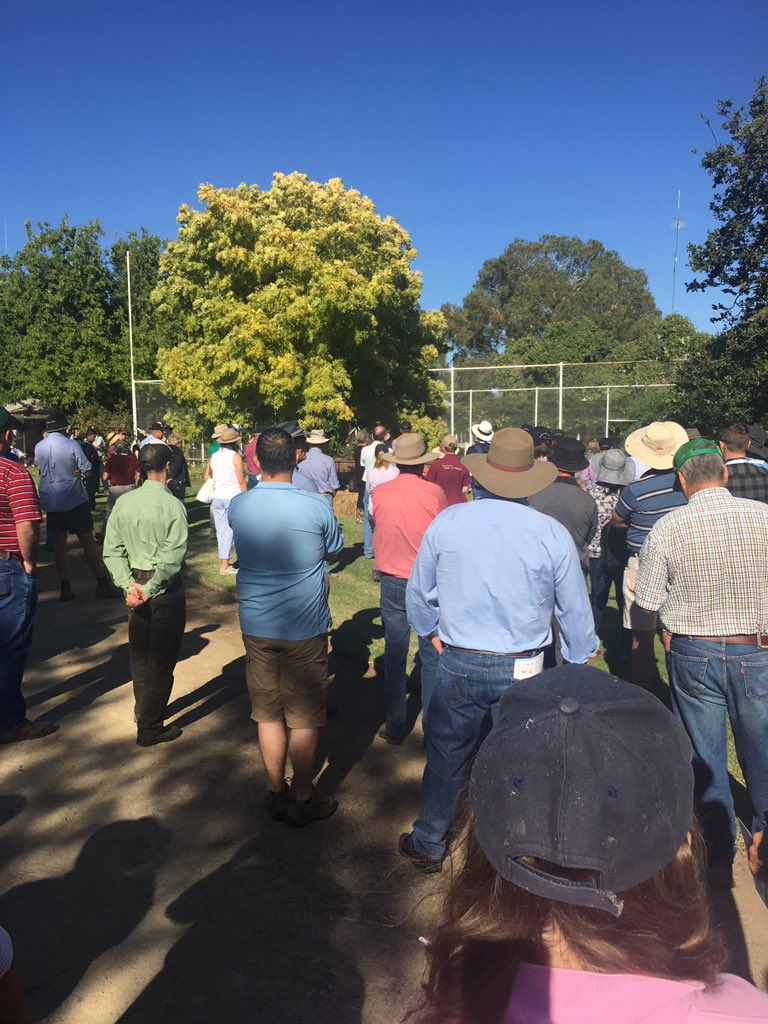 Kicking off the #rice field day at #RRAPL #OLDCOREE##JERILDERIE