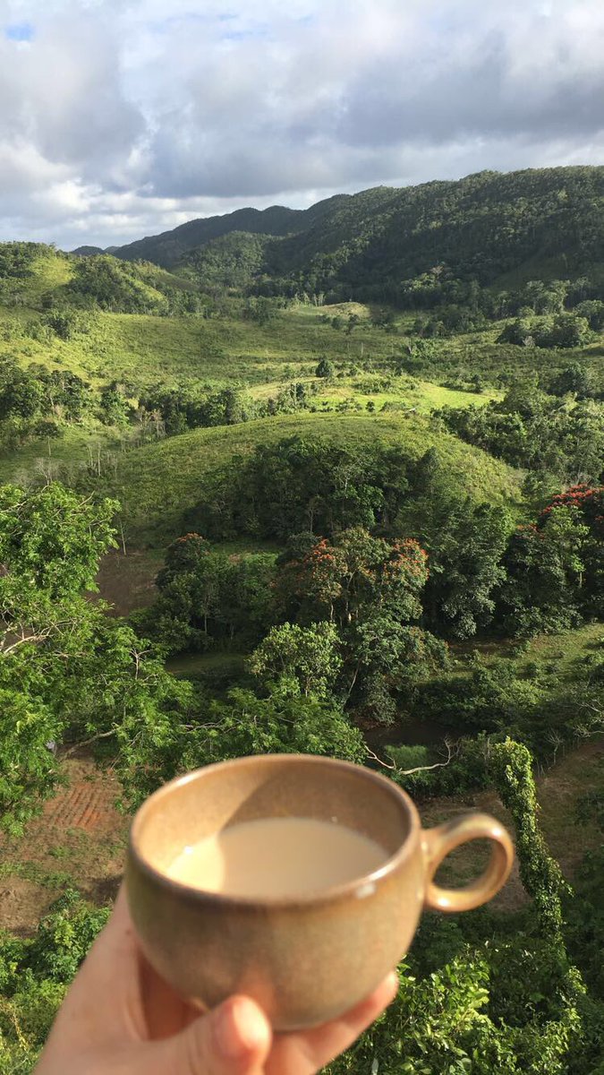 coachmyhrek's tweet photo. Coffee and views ...  a few of my favorite things...  #hpgoweek #teamjamaica 🇯🇲 https://t.co/a2P9NraVAe