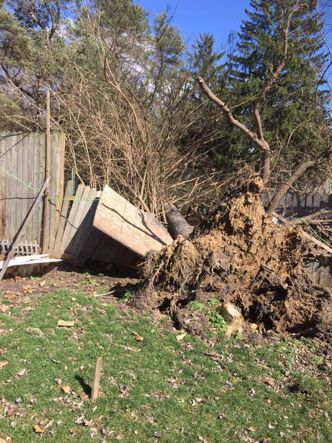 View image on Twitter