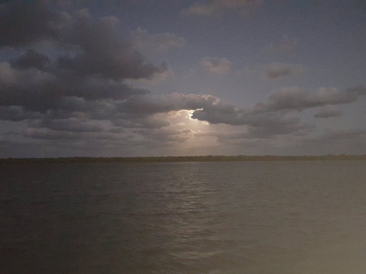 GolfPortSTL's tweet photo. Beautiful Moon rise at Jupiter Beach. https://t.co/FQeBS24JBW Opening at 11:00am on Thursday March 9th. #hittingballs https://t.co/PdY4HUz4Uj