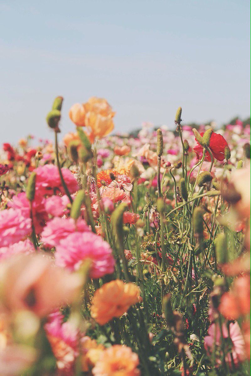 minsugaesthetic tweet picture