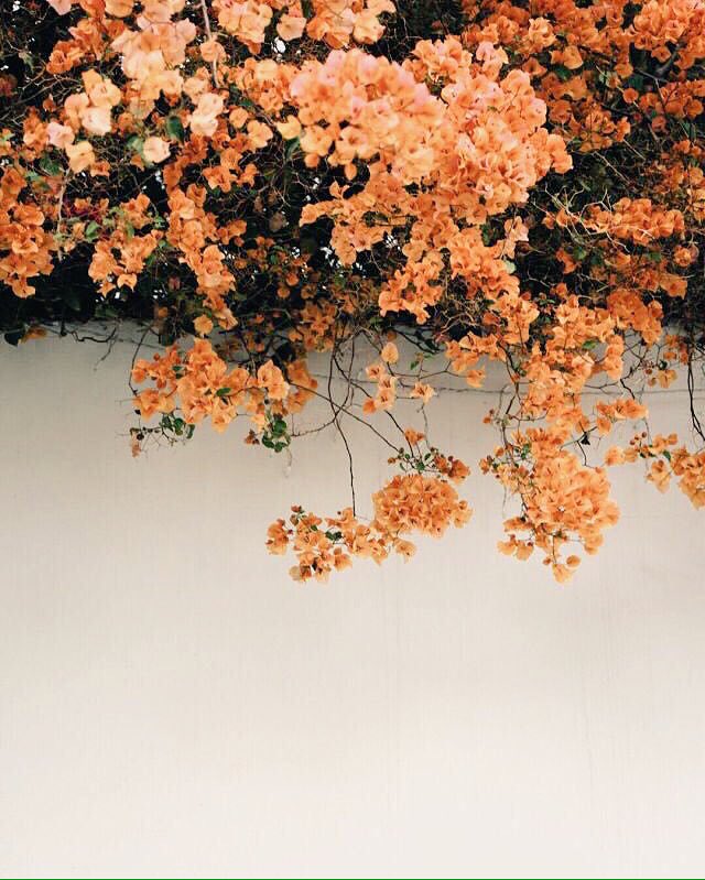minsugaesthetic tweet picture