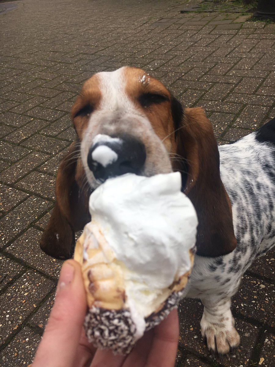 CAKEDEAD tweet media