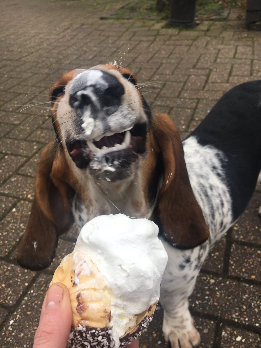 CAKEDEAD tweet media