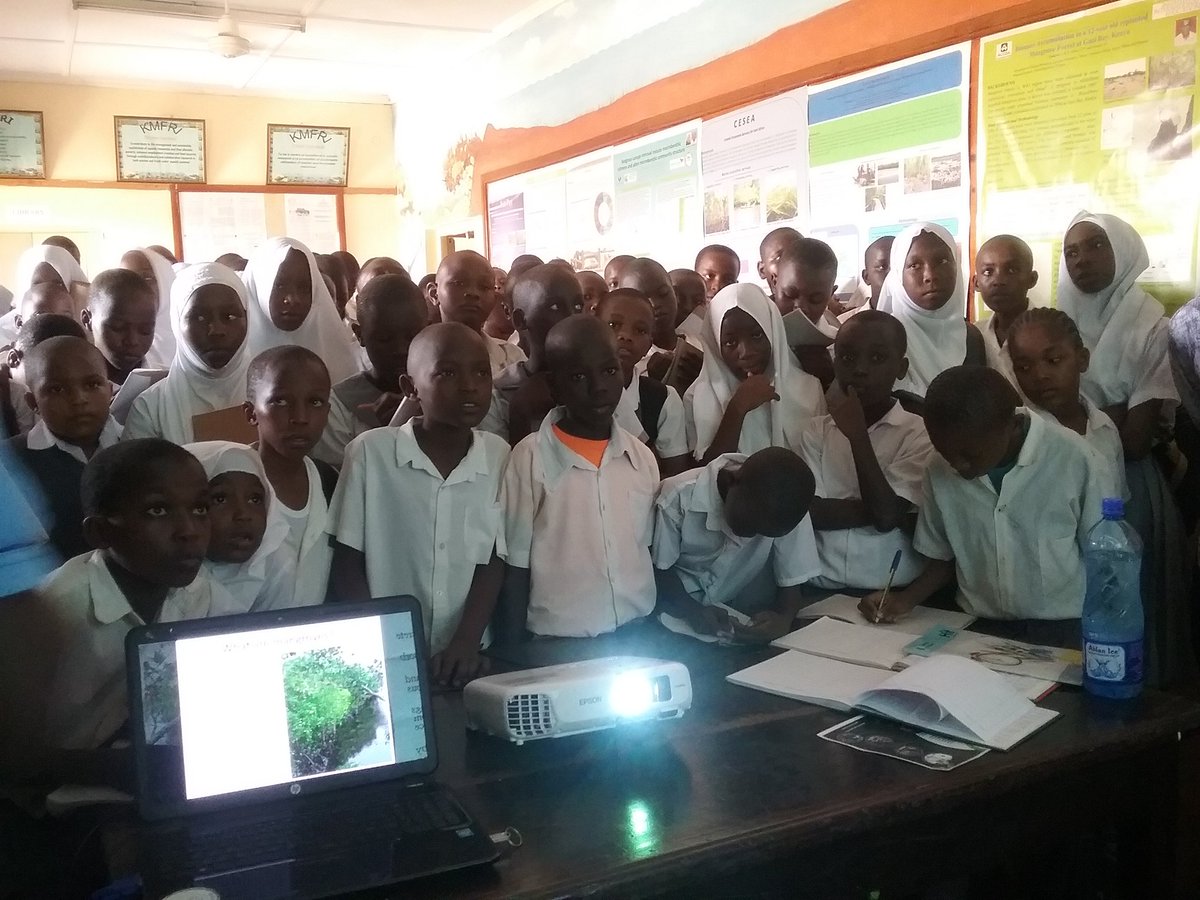 mikoko_pamoja's tweet photo. #Studentsthirstforknowledge ;A day of activity with 2 local primary schools and university students from sweden https://t.co/U0YQaU8eOo
