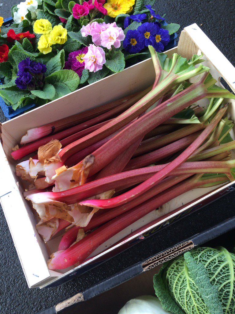 Look! The first rhubarb from Gerald Rich's farm near Bath. No chemicals. £1.95lb at Chelsea Rd Greengrocer. Tasty
