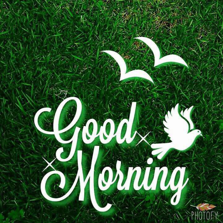 Saurabh16014722's tweet image. 