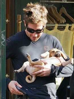 JakeActivities's tweet photo. jake holding his dog incorrectly https://t.co/V4cGcZGy9w