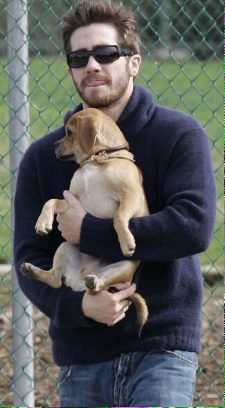 JakeActivities's tweet photo. jake holding his dog incorrectly https://t.co/V4cGcZGy9w