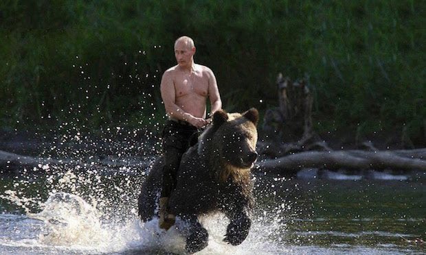 Logsdail's tweet image. Bear Week #RussianTVShows @Discovery