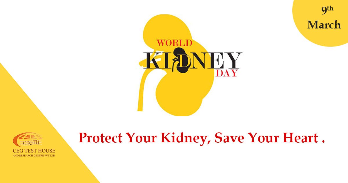 ceg_test_house's tweet photo. Right #Nutrition and #Health awareness can keep your kidneys safe.
Protect diseases with customized Health plans. #WorldKidneyDay https://t.co/7BhqweDC1x