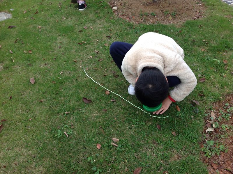 nf2229's tweet image. "Focusing attention" as we go on a "micro hunt" Beginning our #inquiry into BUGS! #sharingnature #flowlearning #issedu #isdwow #ECE