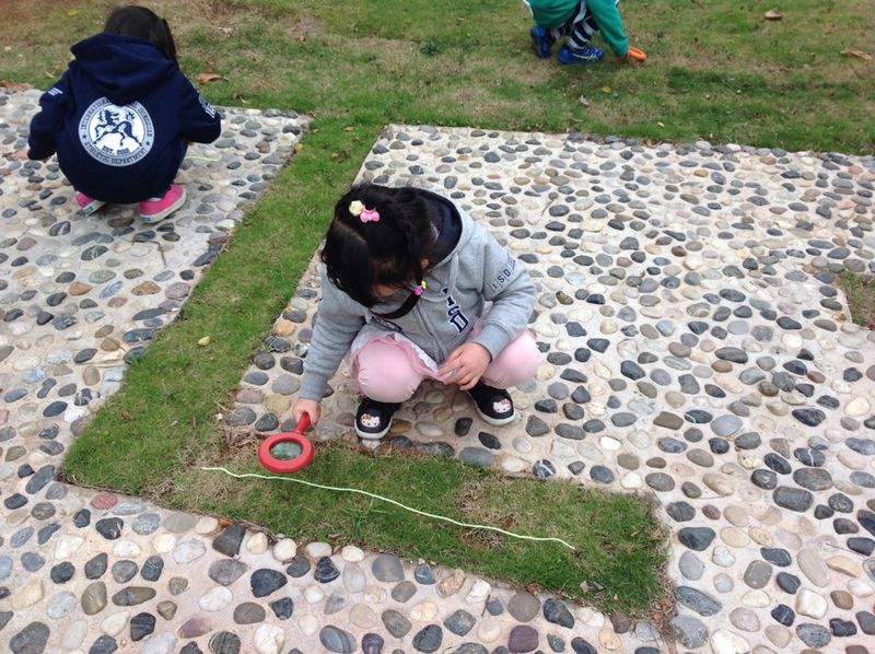 nf2229's tweet image. "Focusing attention" as we go on a "micro hunt" Beginning our #inquiry into BUGS! #sharingnature #flowlearning #issedu #isdwow #ECE