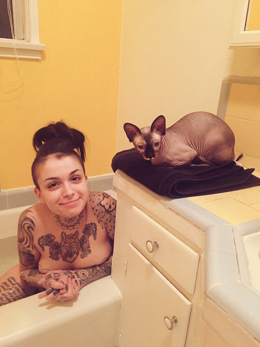 Hi I'm Chris Hansen why don't you take a seat https://t.co/aDIdzkFVtI<a href="/tag/murderthebutthole"class="tags"><span>#murderthebutthole</span></a>