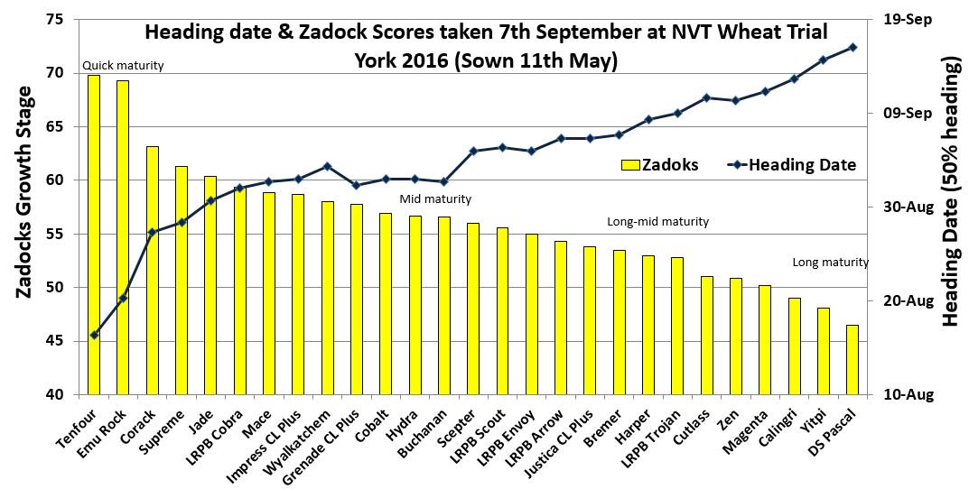 Colin Edmondson tweet media
