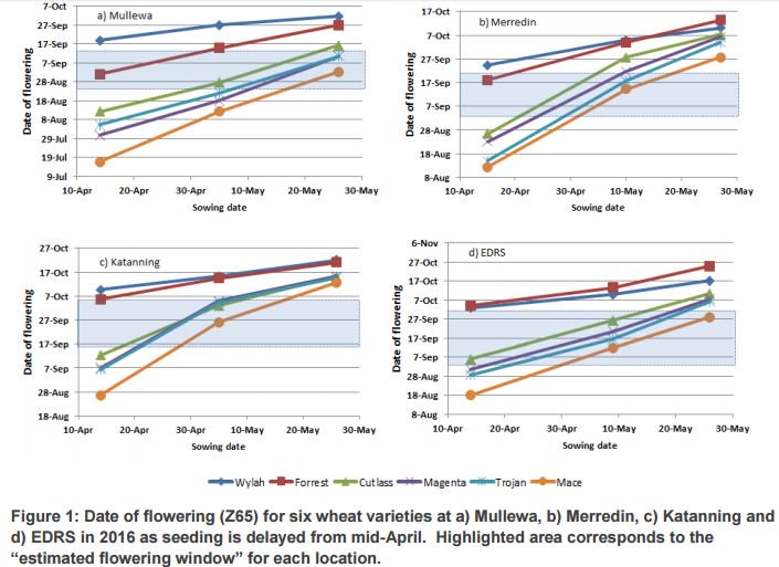 Colin Edmondson tweet media