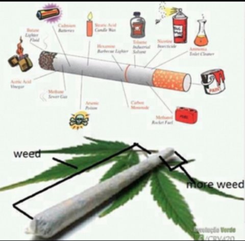 THC_SA's tweet photo. cigarette must be banned from stores as they kill us #cigarettemustfall 
weed can help us develop some super surprisin powers #SAToLegalize https://t.co/4E9Yyo5QdV