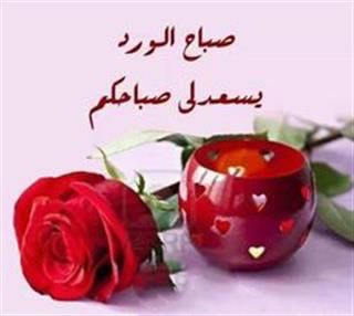 monajuma14's tweet photo. @alzeen1122333 https://t.co/rv2KnBso9k