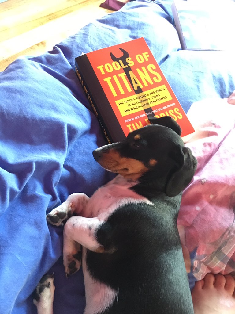 Finnbykelsipop's tweet photo. Good book @tferriss But Scout reckons it's an equally as good pillow 🐶😏 https://t.co/Jatyf2g2ry